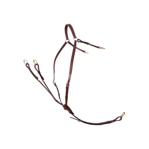 Collier de chasse BR Rayleigh