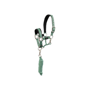 Ensemble licol et longe BR Mini Horse doublé néoprène