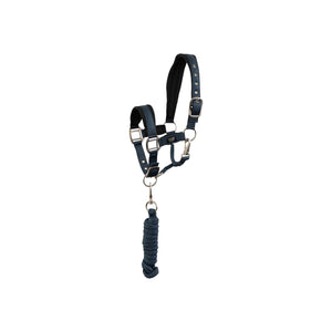 Ensemble licol et longe BR Mini Horse doublé néoprène