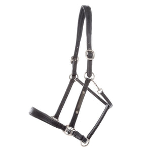 Licol en cuir Bennet avec plaque à graver — Noir/argenté