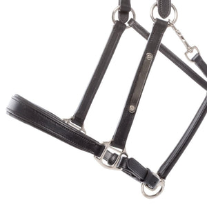 Licol en cuir Bennet avec plaque à graver — Noir/argenté, vue 2