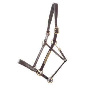 Licol en cuir Bennet avec plaque à graver — Marron/laiton