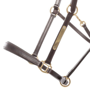 Licol en cuir Bennet avec plaque à graver — Marron/laiton, vue 2