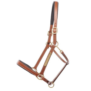 Licol en cuir Bennet avec plaque à graver — Cognac/laiton
