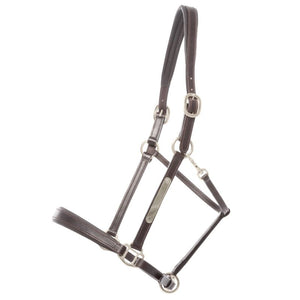 Licol en cuir Bennet avec plaque à graver — Marron/argenté