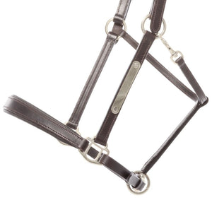 Licol en cuir Bennet avec plaque à graver — Marron/argenté, vue 2