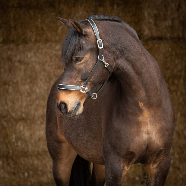 Harry's Horse Finesse Crystal leren halster