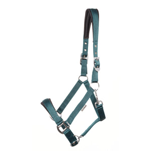 Licol Classic Simple — Vert émeraude