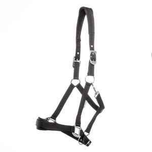Licol Classic Simple — Noir