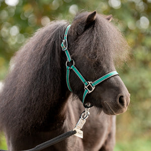 Licol shetland Shorty — Pétrole/noir-argenté, vue 3