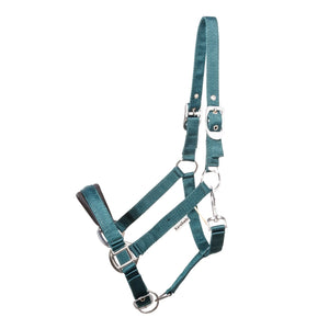 Licol Classic Simple — Vert émeraude, vue 2