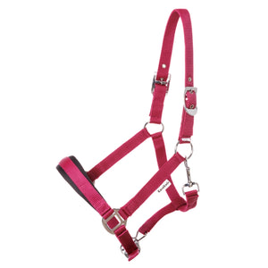 Licol Classic Simple — Baie, vue 2
