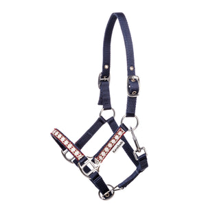 Licol Dottsi galon montants et chanfrein — Bleu marine/blanc