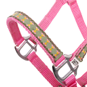 Licol Dottsi galon montants et chanfrein — Rose/vert, vue 2