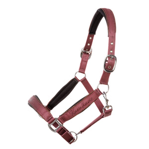 Licol satin Graceful liseré pailleté — Mauve/bordeaux