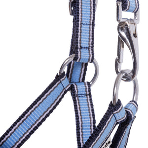 Licol poulain et yearling à mousqueton de nuque — Bleu clair/bleu marine-blanc, vue 3