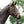 Licol poulain et yearling en cuir rembourré — Marron/laiton, vue 3