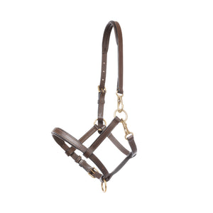 Licol poulain et yearling en cuir rembourré — Marron/laiton