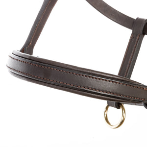 Licol poulain et yearling en cuir rembourré — Marron/laiton, vue 2