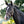 Licol poulain et yearling en cuir rembourré