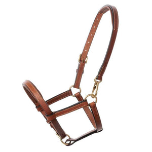 Licol poulain et yearling en cuir rembourré — Cognac/laiton