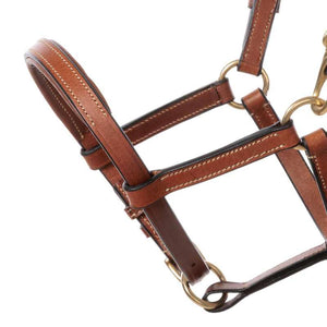 Licol poulain et yearling en cuir rembourré — Cognac/laiton, vue 2
