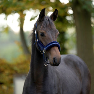 Licol poulain Foal Star fourrure synthétique — Bleu marine, vue 2