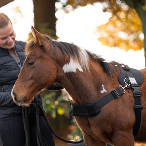 Harnais poulain Foalmaster avec poignée — Noir, vue 6