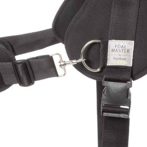Harnais poulain Foalmaster avec poignée — Noir, vue 2