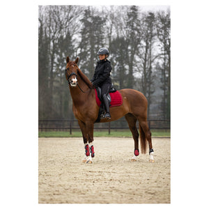 BR XO2 kogelbeschermers