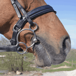 Sprenger – Mors Universel Sprenger KK Ultra Sensogan    | Sellerie Bucéphale