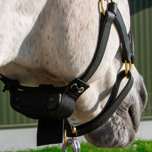 Allarme Nascita Premium Plus