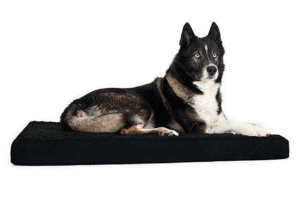 Matelas ergonomique pour chien Back On Track