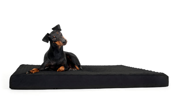 Matelas ergonomique pour chien Back On Track