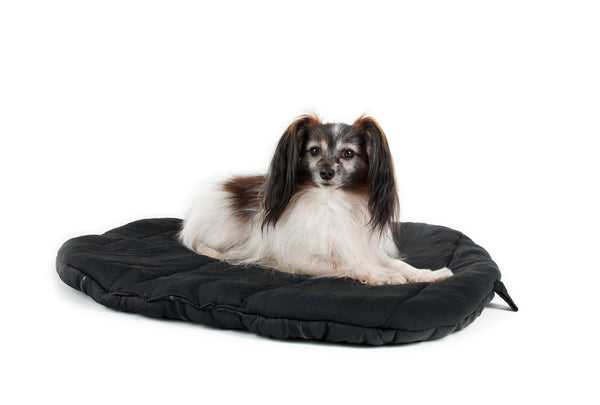 Matelas de voyage pour chien Back on Track