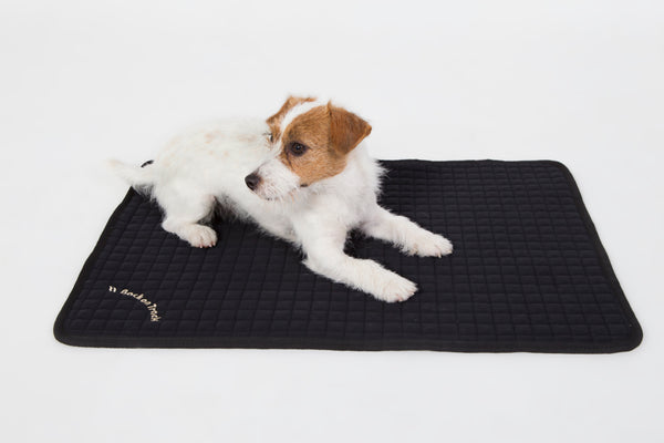 Matelas pour chien "Allround" Back on Track