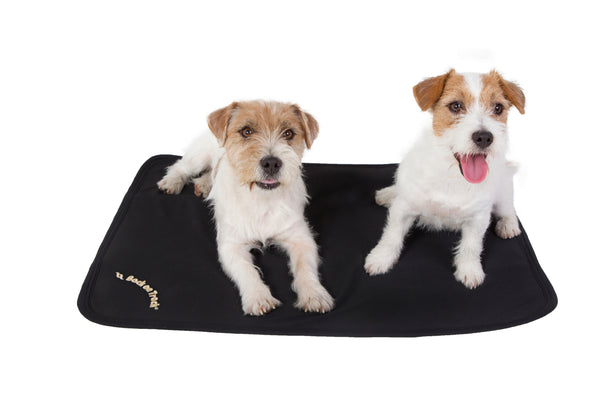 Matelas pour chien Back On Track Cage Fit