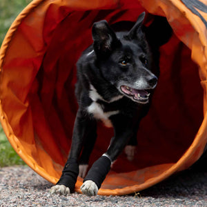 Protecție flexibilă pentru picioarele din față pentru câine Back on Track