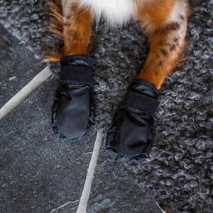 Ghete pentru câine "Koda" Back on Track