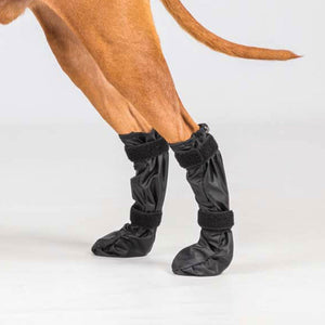 Botinhas para cão Lola Back on Track