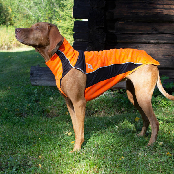 Back on Track – Manteau pour chien "Eddie" Grande visibilité Back on Track Orange 55cm  | Sellerie Bucéphale