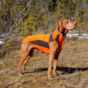 Back on Track – Manteau pour chien "Eddie" Grande visibilité Back on Track Orange 70cm  | Sellerie Bucéphale