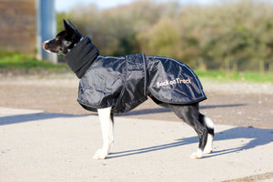 Palton pentru galgo "Whippet" Back on Track