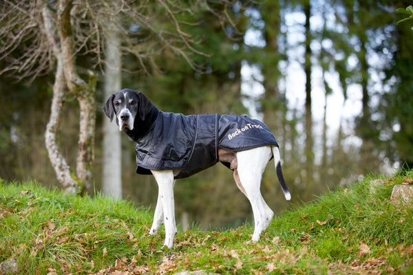 Manteau pour lévrier "Whippet" Back on Track