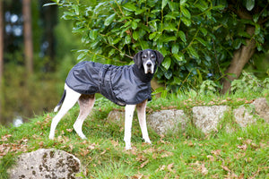 Palton pentru galgo "Whippet" Back on Track