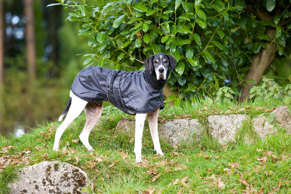 Manteau pour lévrier "Whippet" Back on Track