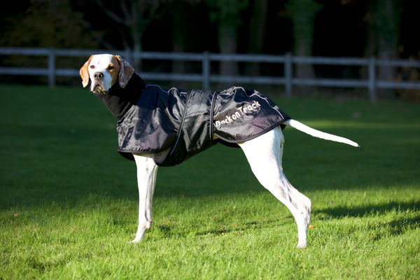 Manteau pour lévrier "Whippet" Back on Track