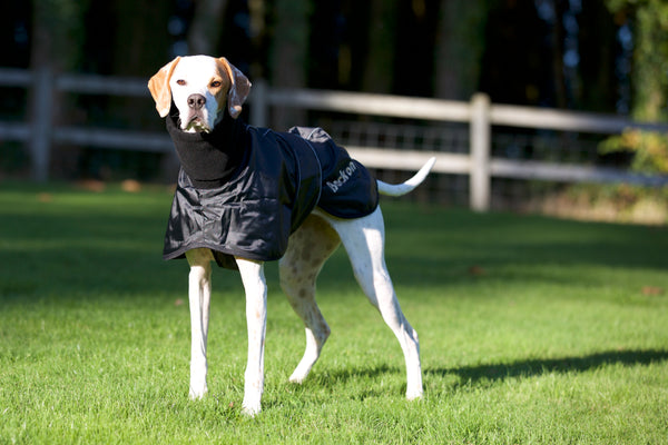 Manteau pour lévrier "Whippet" Back on Track