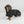 Manteau BUDDY 2.0 filet queue haute Back on Track - détail