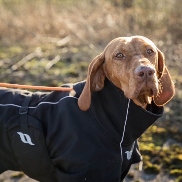 Manteau Nella pour chien Back on Track